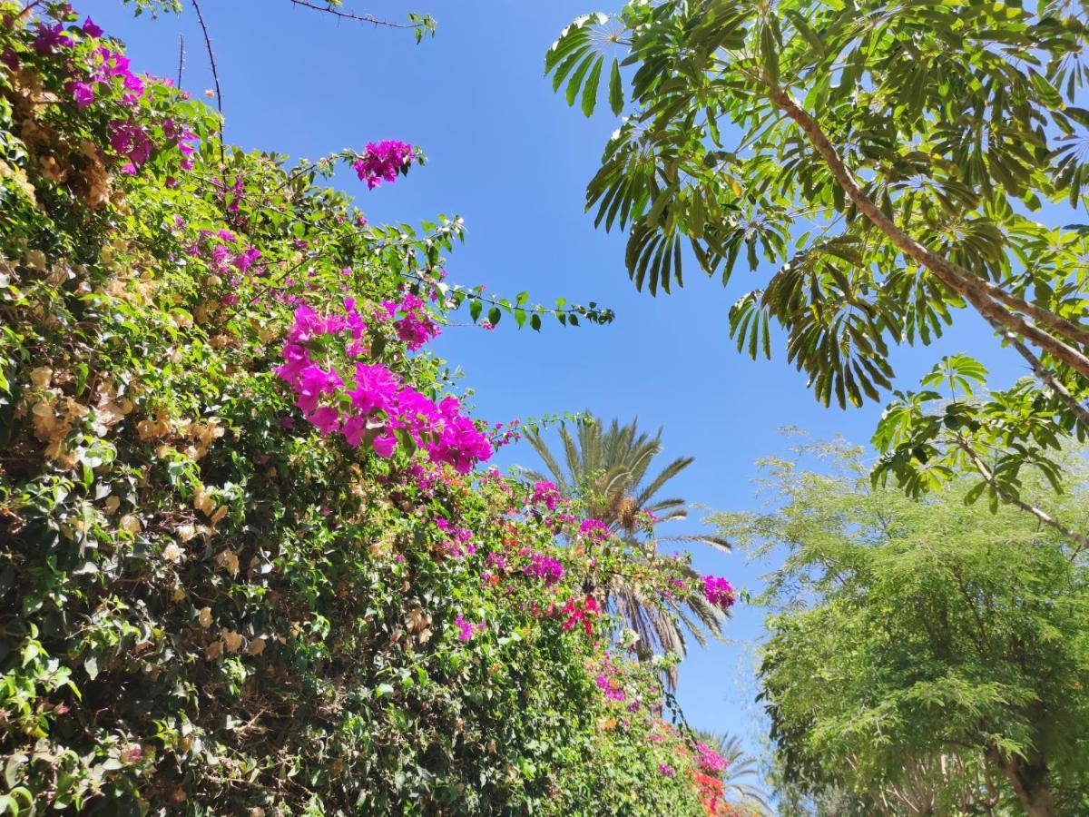 Villa Zinnia بلايا بلانكا المظهر الخارجي الصورة